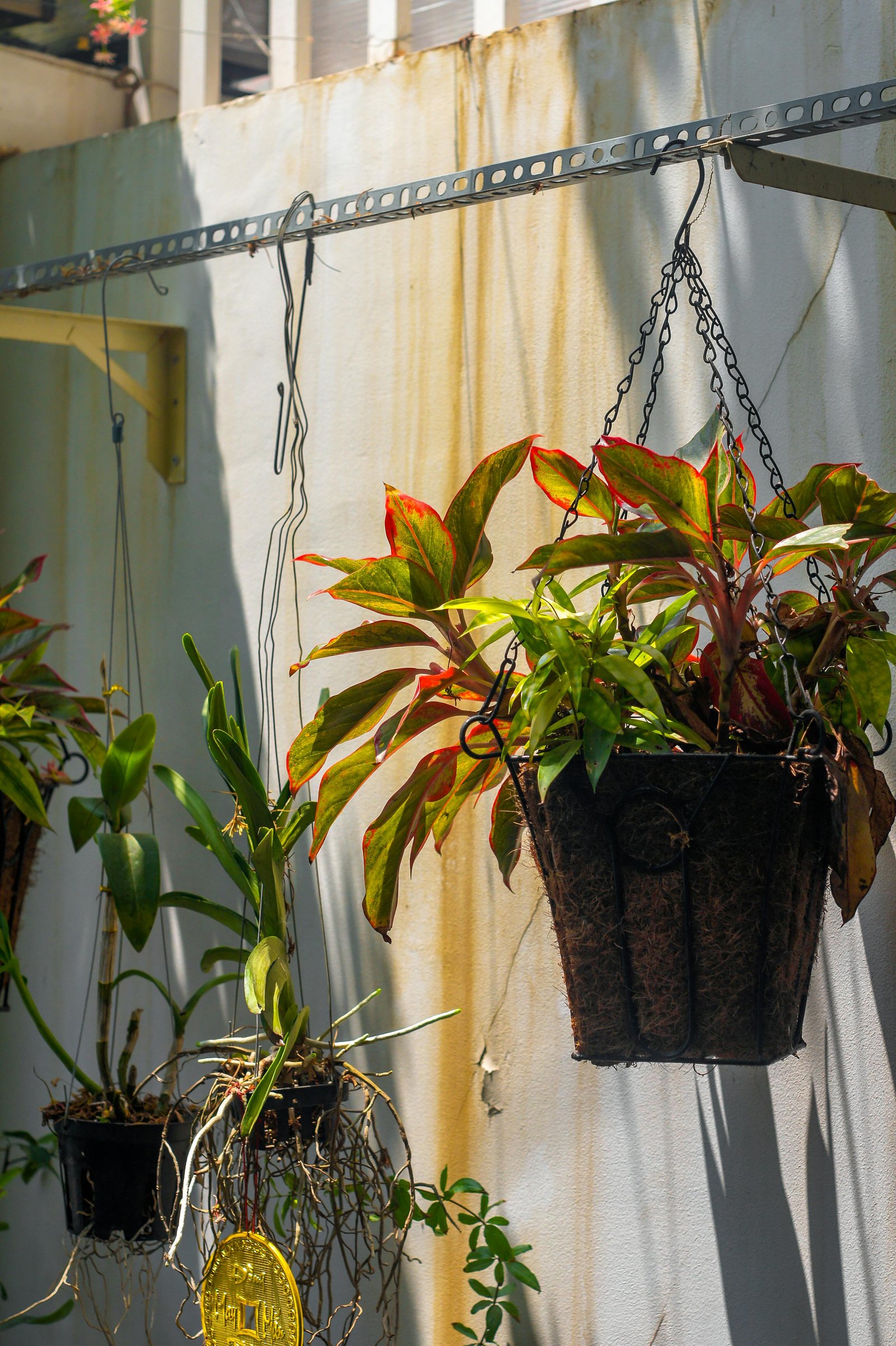 Handmade macramé hanging planter